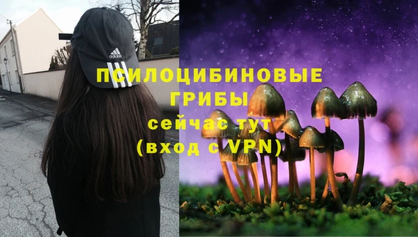 трава Пролетарск