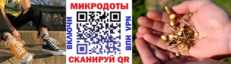 Купить закладки  Краснозаводск  Галлюциногенные грибы Cubensis 