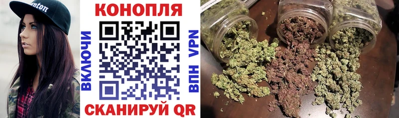 Купить где  Краснозаводск  Канабис ГИДРОПОН 